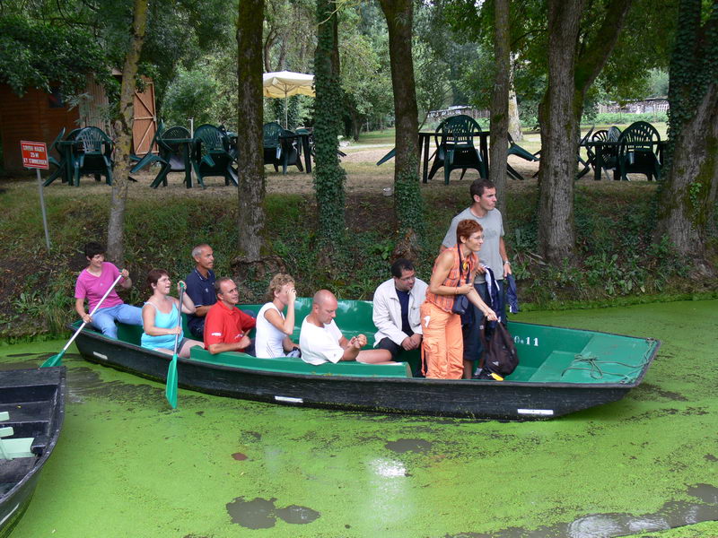 P1000527.JPG
